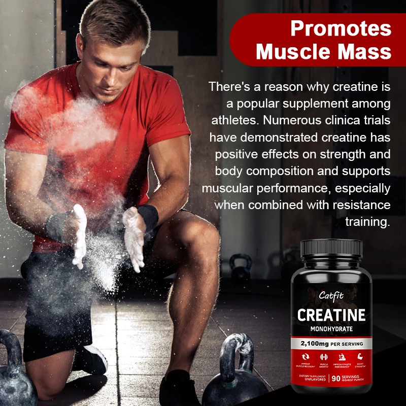 Catfit Creatine Monohydrate Capsules Whey Protein Energy Stamina Performance Muscle Growth for Gym Fitness Muscle Building