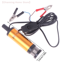 【M】1 PCS Electric Submersible Pump For Pumping Diesel Water 12V DC Diameter 38MM Electric Fuel Transfer Pump