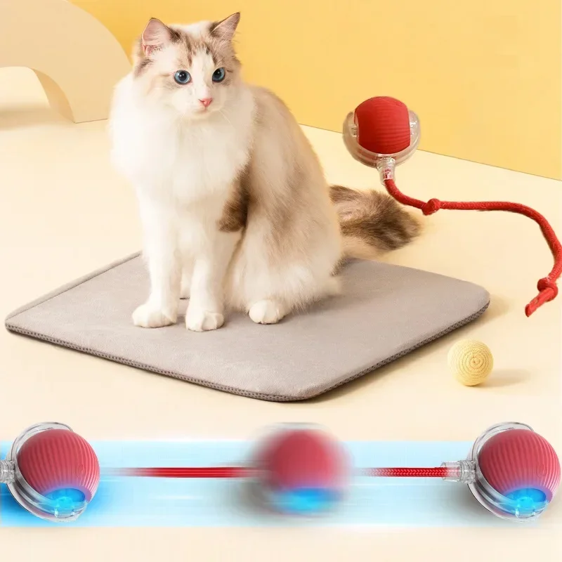 Interactive Cat Toys With Tail Auto Electric Rolling Ball Toys for Cats Dog Pets Smart Automatic Teaser USB Rechargeable