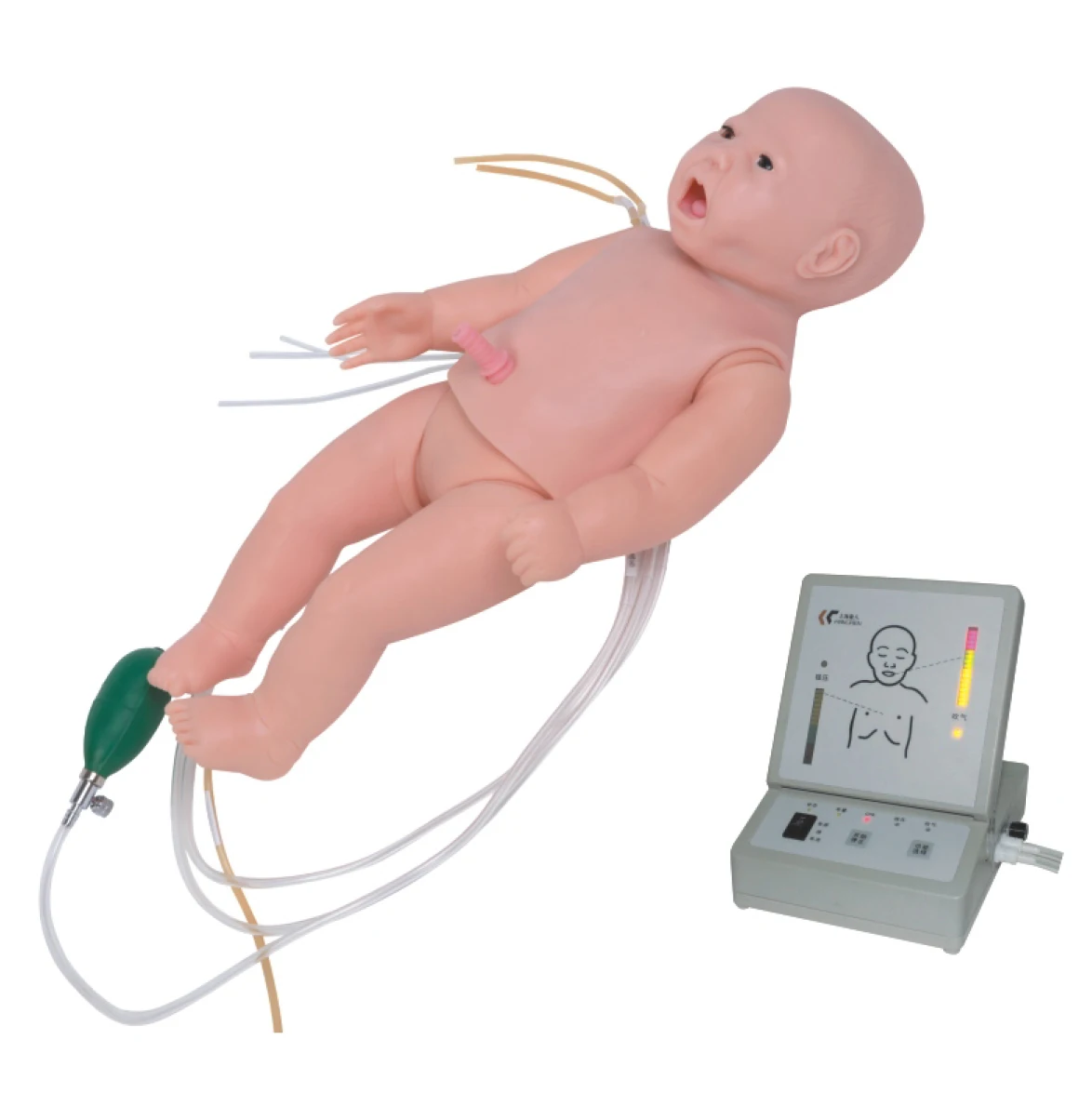 

Medical Teaching Nursing, CPR, Auscultation, and Pacing, Full-functional Neonatal Nursing Manikin