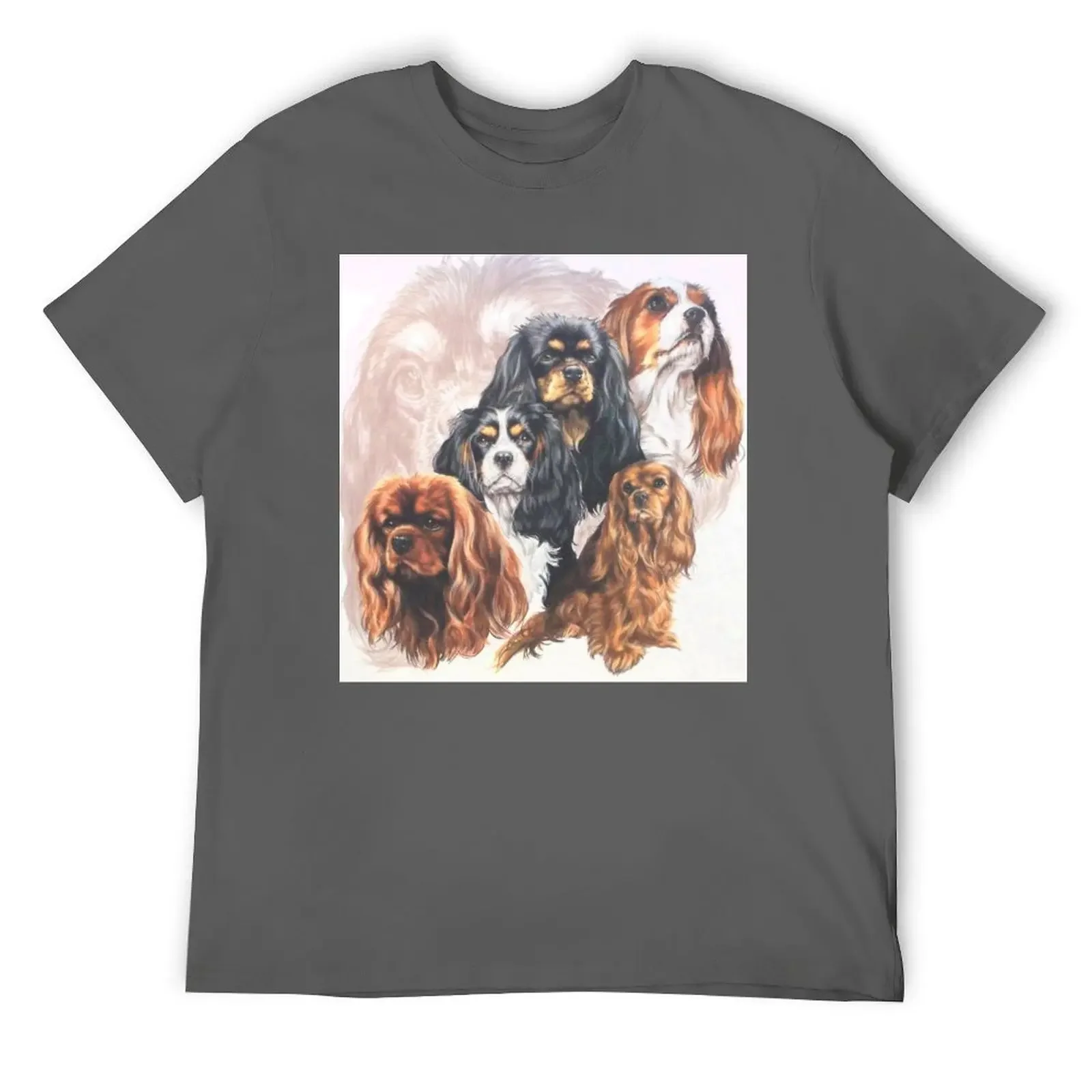 Cavalier King Charles Spaniel Grouping T-Shirt shirts graphic tees tshirts personalised mens t shirts