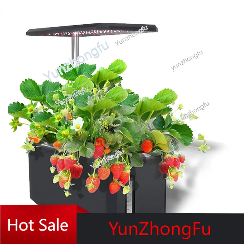 Indoor Lazy Flower Pot Vegetable Planting Machine Led Hydroponic Plant Machine Smart Planter IGS-28