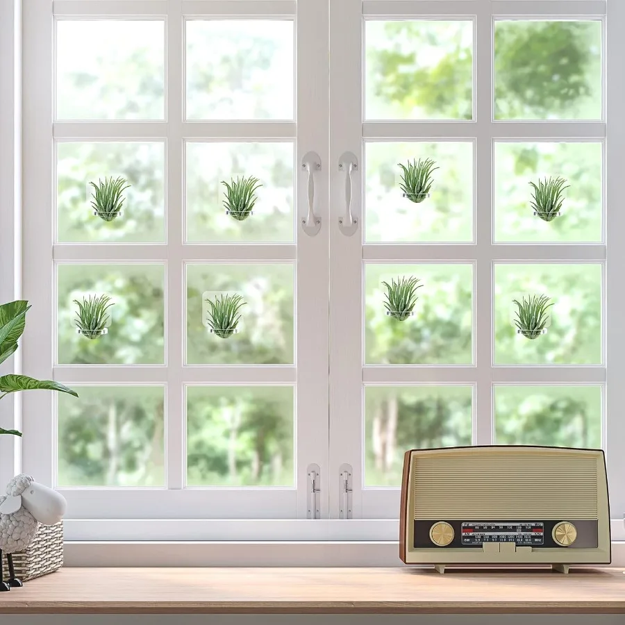 12 قطعة من حامل نباتات الهواء الأكريليك مع شريط تثبيت لتعليق نباتات الهواء على شاشة عرض زجاجية للمنزل #3