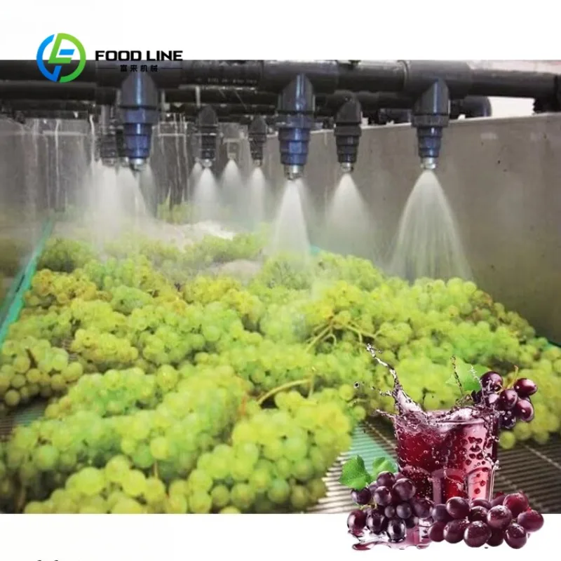 Customized Turnkey Fruit Juice Production Line Complete Cleaning Extraction Filling Equipment for Food Processing Industry