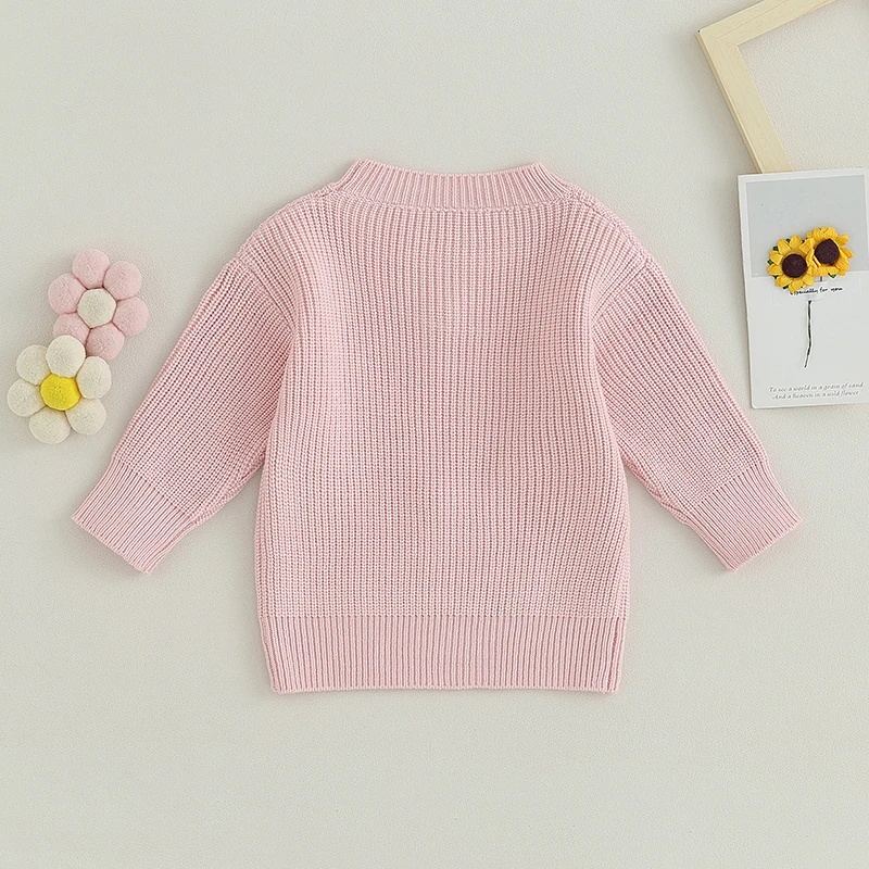 Toddler Baby Girl Knit Sweater Big Sister Letter Embroidery Sweatshirt Long Sleeve Pullover Tops Winter Clothes