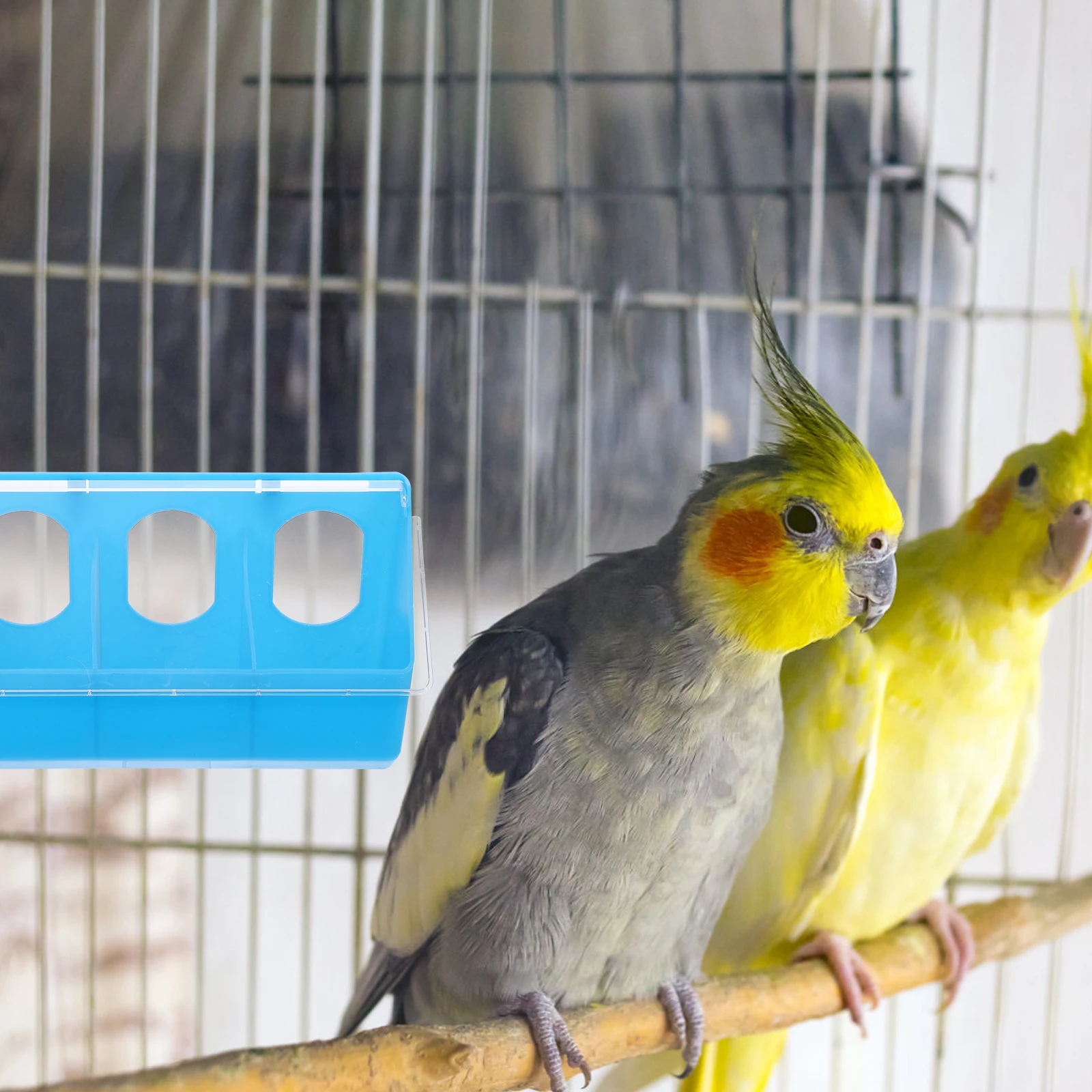 

Pigeon Feeder Plastic Bird Food Container Multi-Function Quail Feeder Wear-Resistant Household Bird Cup Feeding Accessory Pet