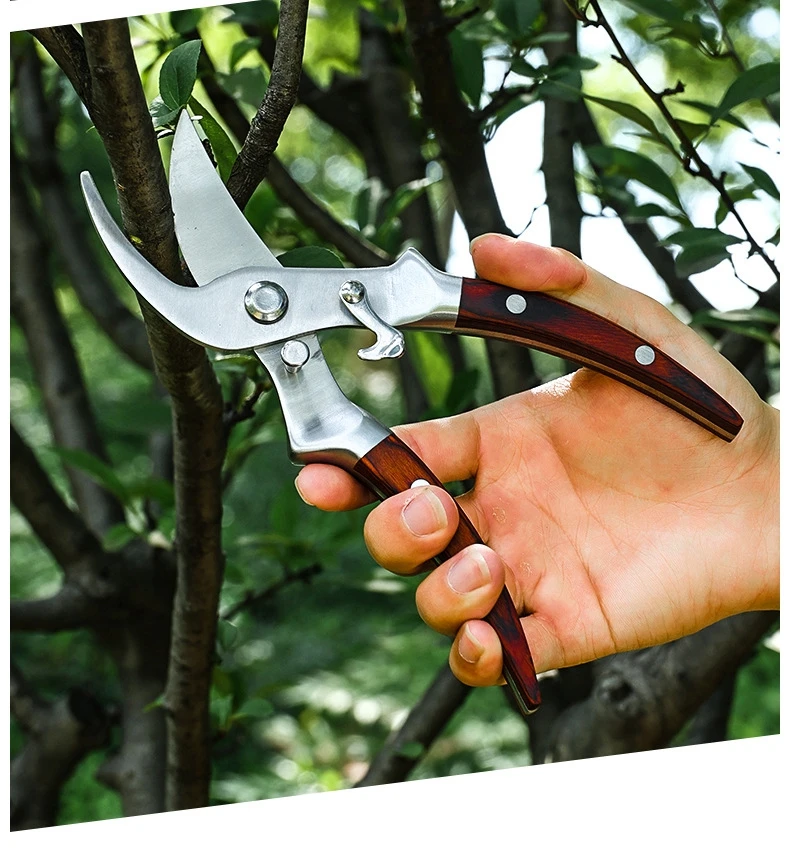 Multifunktionale Garten Trimmen Werkzeug Gartenschere Garten Werkzeuge Arbeitsersparnis Schere Gartenpflanze Scharfe Zweig Pruners – Detail 11