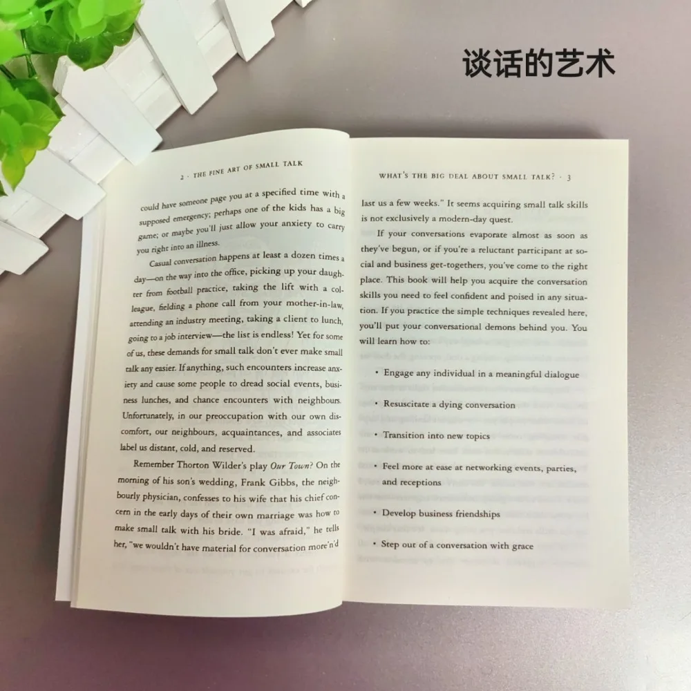 The Fine Art of Small Talk - Deborah Vaughn's boek