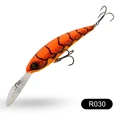 R030