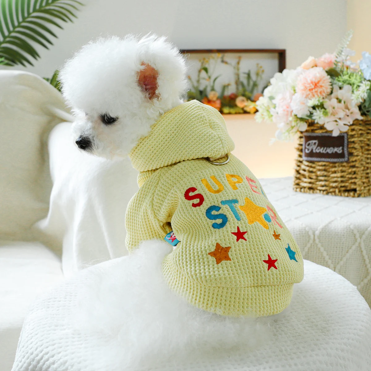 1PC pet clothing dog spring and autumn yellow color super star hat jacket suitable for small and medium -sized dogs