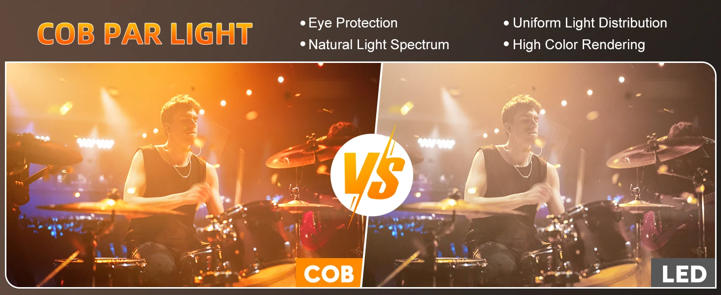 Dual lighting system