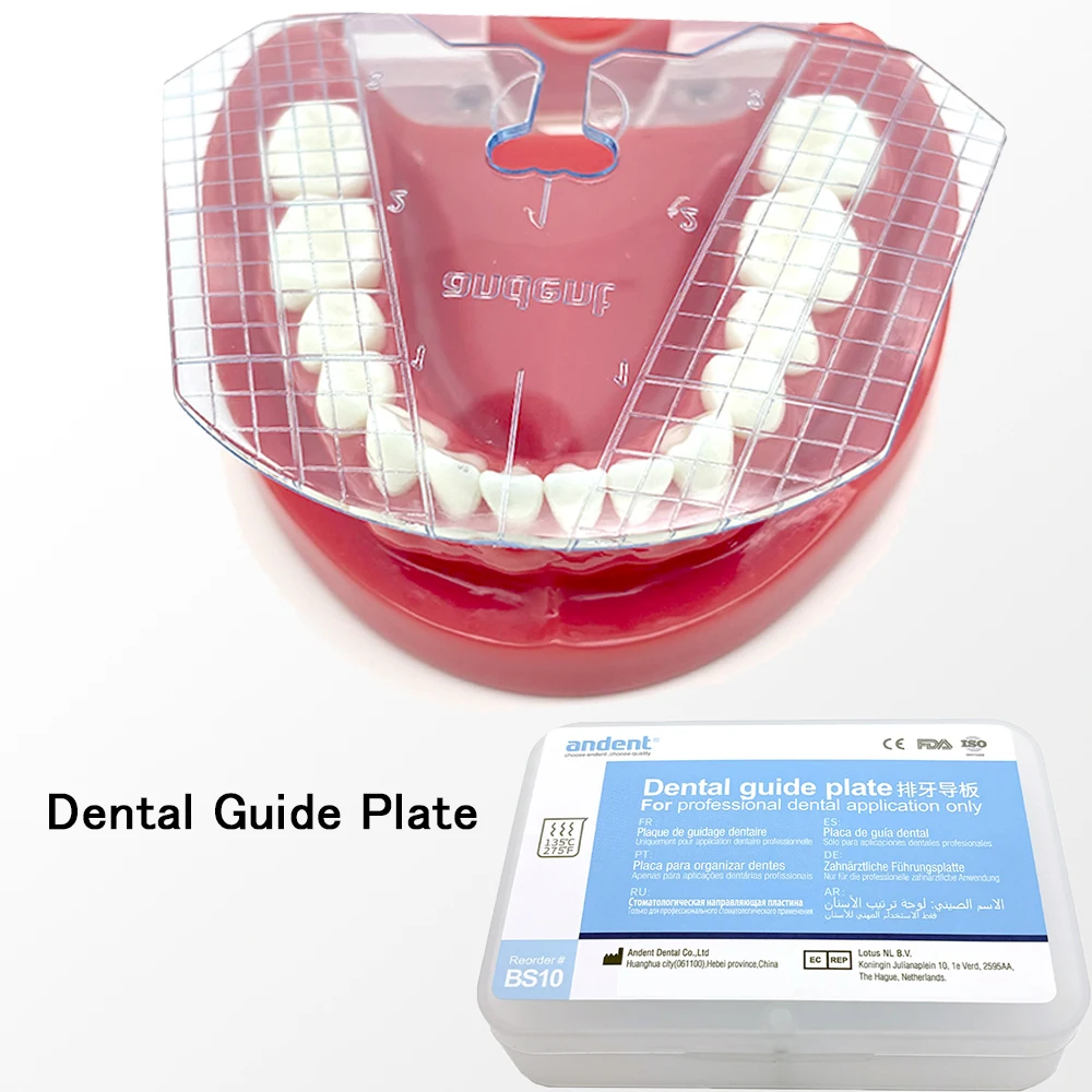 1pcs Dental Guide Plate Dental Teeth Arrangement on Denture Tools Dental Tools Dental Instrument Dental Lab Measurement