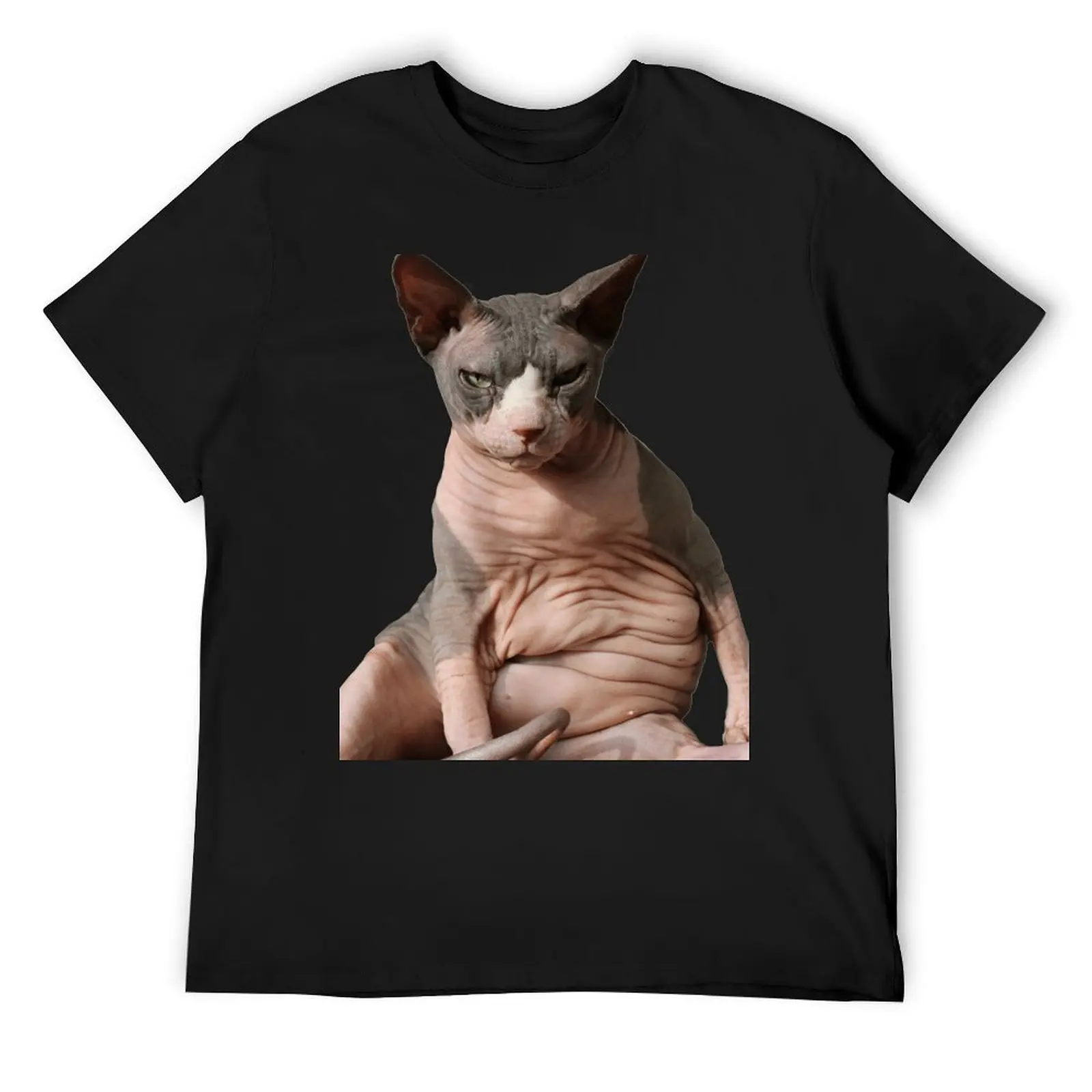 Giant hairless cat T-Shirt blacks boys animal print mens vintage t shirts