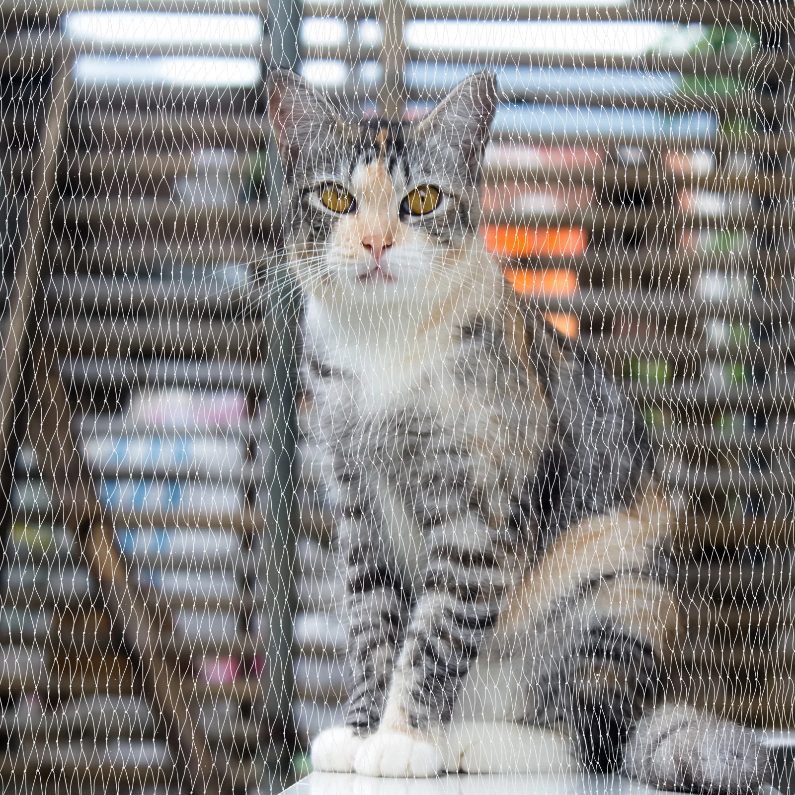 

Balcony Safety Net Pet Protective Net Nylon Anti-Fall Mesh Cat Dog Fence Nets Zip Tie Screw Install Balcony Window Terrace