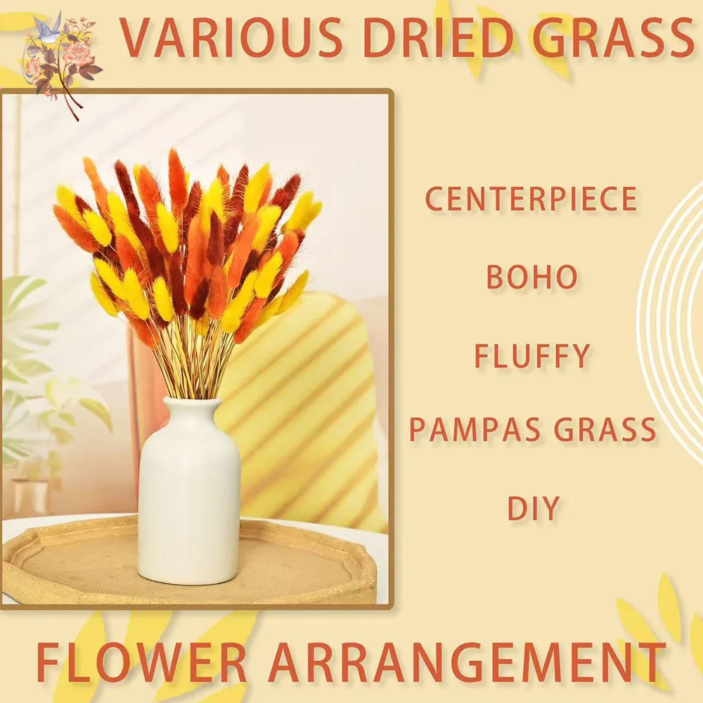 90 Stems Colorful Rabbit Tail Grass Natural Dried Flower Home Vase Decor for DIY Craft Lagurus Ovatus Plants Wedding Arrangement - Image 5