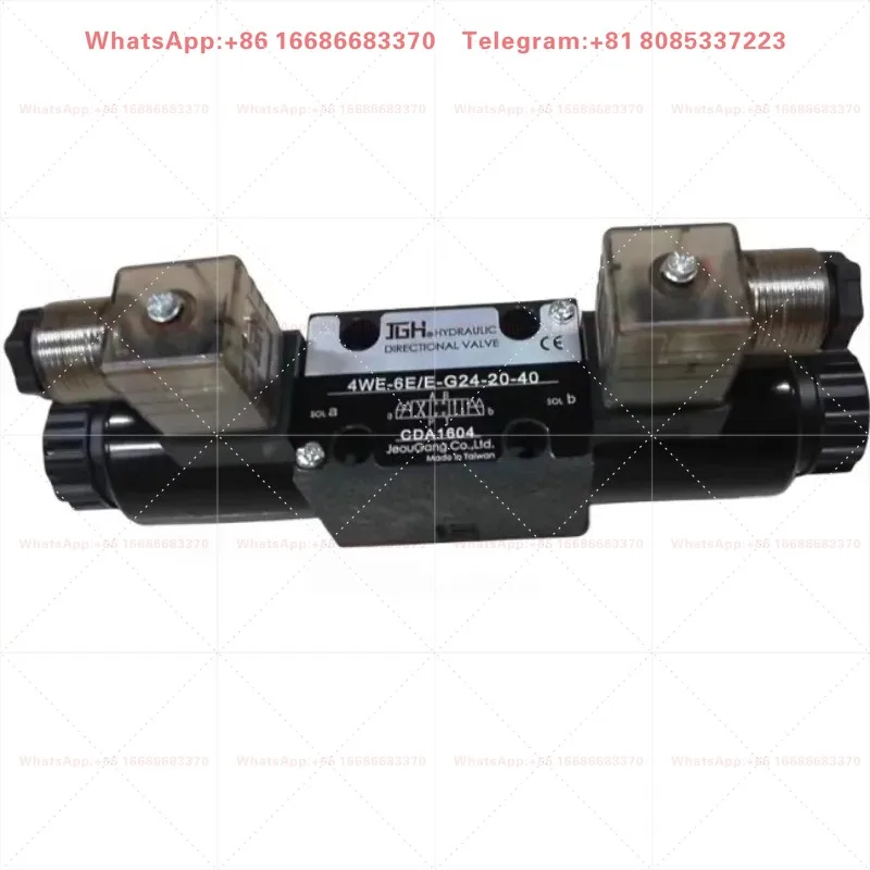 4WE-10-G/E-W220/50-20 Solenoid Directional Valve 6D/10D/10E/6J Hydraulic Valve