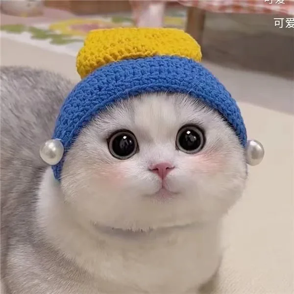 Autumn Winter Cat Hat Elastic Cute Refined Pet Hat Puppy Kittens Knitted Hat Party Photo Shoot Props Decoration Cat Accessories