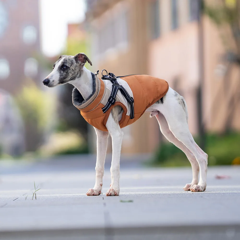 

Large Luxury Polyester Sport Dog Coat Waterproof Spring Jacket for Greyhounds XXL Pet Clothes