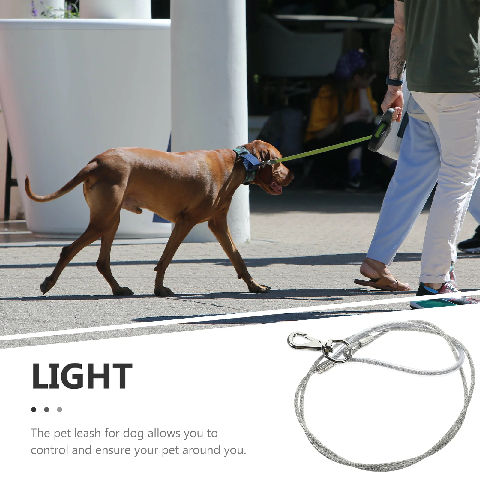 

Steel Wire Metal Dog Leash Wear Resistant Chew Proof Anti Bite Safety Leash for Puppy Outdoor Traction Rope Puppy Traction Rope