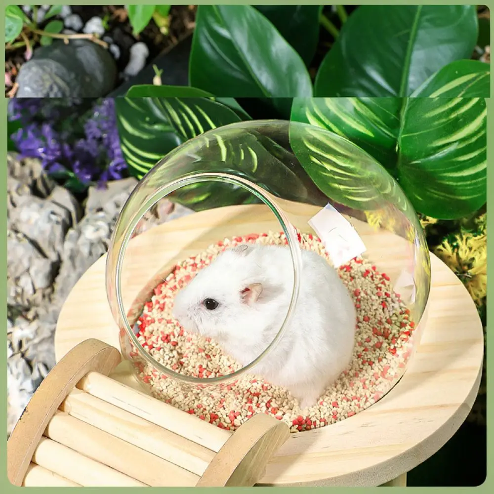 High Quality Hamster Sand Bathing Basin Space Capsule Style Small Pet Toilet Easy To Wash Cage Accessory For Gerbils