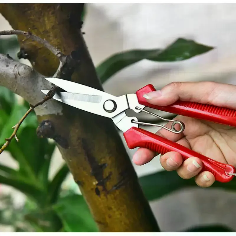 Garden Scissors Straight Head Pruning Shears Non-slip Handle Stainless Steel Outils Manuels Household Bonsai Pruing Scissors