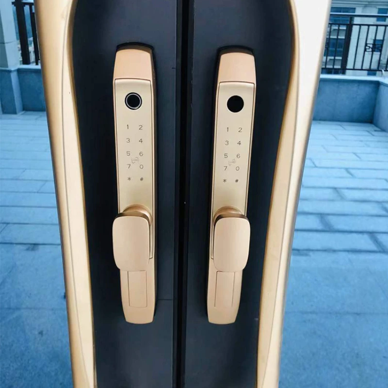 

fingerprint lock short handle narrow frame aluminum push-pull translation door lock double hook lock APP remote unlocking