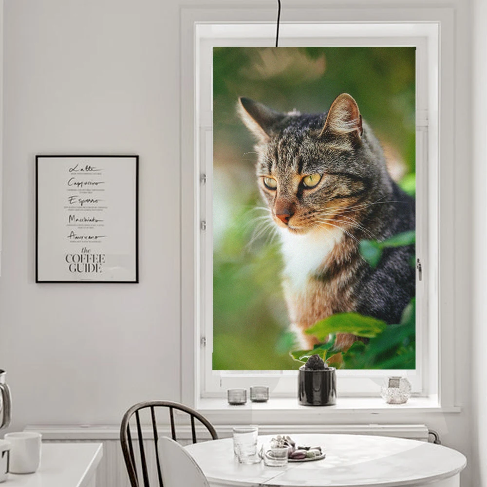 Static Electricity Frosted Privacy Window Film Anti UV Blocking Heat Control Window Sticker Cute Cats Glass Window Decoration