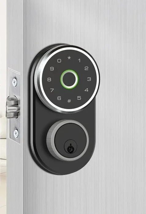 Smart  hidden lock electronic  smart door