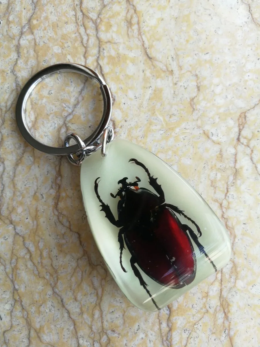 10pcs Amber Key Chain Insect Specimen Chain Pendant Scorpion Scarab Seven Star Ladybug Wasp Butterfly Car Key Ring Jewelry Gifts