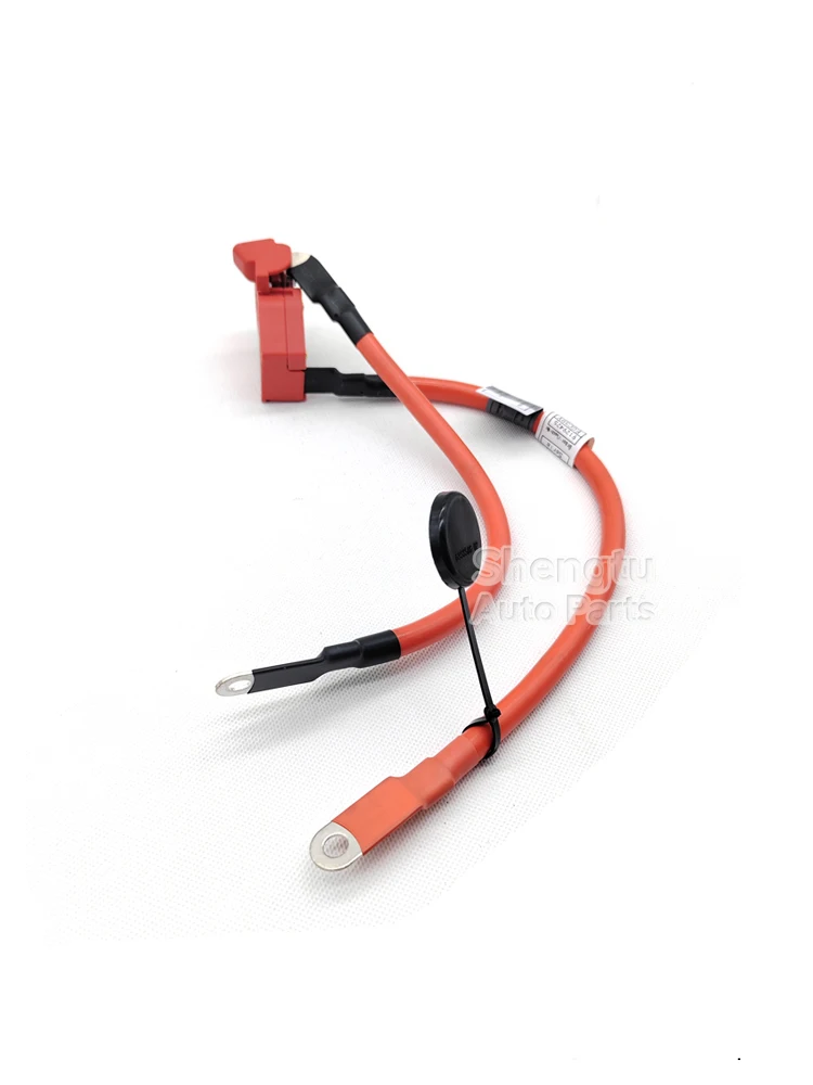 Positive Battery Fuse Cable for BMW F30 F31 F34 F35 M3 F80 F83 F82 F32 F33 F36 M4 3 4 Series 61129259425