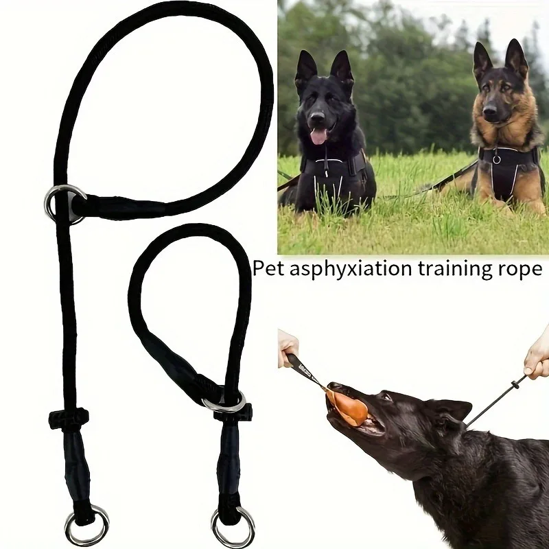 Polyester Fiber Dog Training Leash with Adjustable Slip Collar - Durable Choke Loop for Behavioral Training, Non-Asphyxiation Co