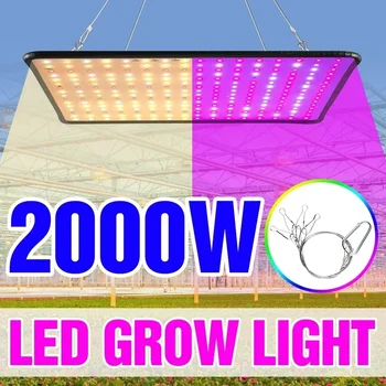 Mais recentes lâmpadas de cultivo led espectro completo planta lâmpada estufa planta interior crescer luz ue/au/reino unido/eua plug múltiplas cores disponíveis