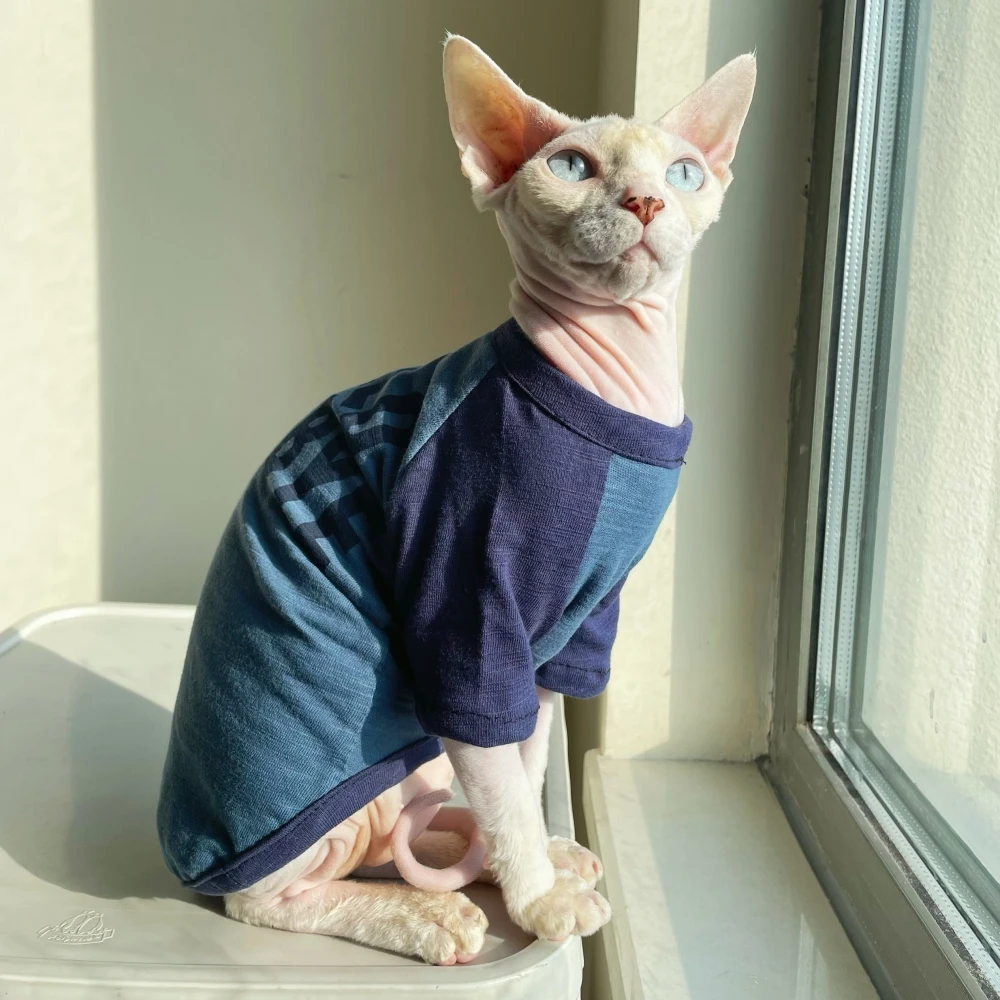 Cotton T-shirt for Cat in Autumn Spring Fashion Blue Letters Printing Sweatshirt  Cat Clothes Winter Undercoat for Devon Rex