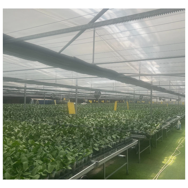 농업용 차광막 메쉬 70% HDPE 온실용 짙은 녹색 농업용 차광망