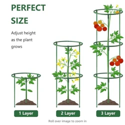 Estacas de soporte para plantas de 3 piezas, jaulas de peonía y soportes para jardín, anillo de soporte para plantas, tomate, rosa, flores, vid