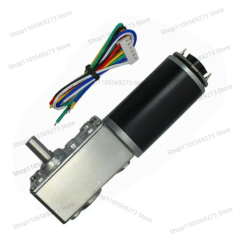 GW4058-31ZY DC Worm Gear Motor with Magnetic Hall Encoder 12V 24V Low RPM High Torque for Robot DIY Automation