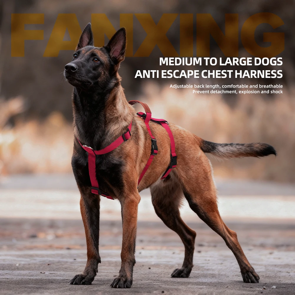 F5021 สายรัดป้องกันการหลุดแบบไ - No Pull Dog Harness บทวิจารณ์และราคา