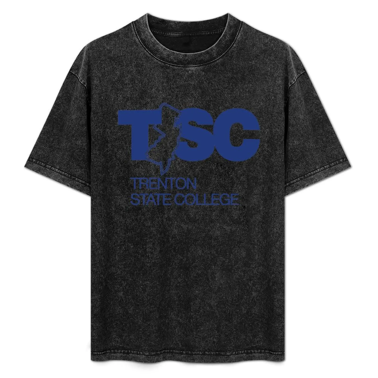 

1990's Trenton State College Graphic T-Shirt man t shirt graphic man t shirts graphic T-Shirt