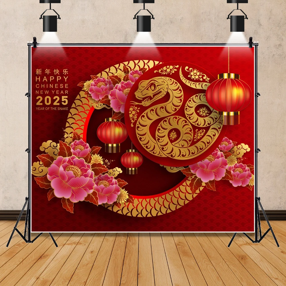 중국 스타일 용수철 축제 레드 랜턴 파티 장식 배경 사진 스튜디오 소품, 2025 새해 뱀 배경 사진