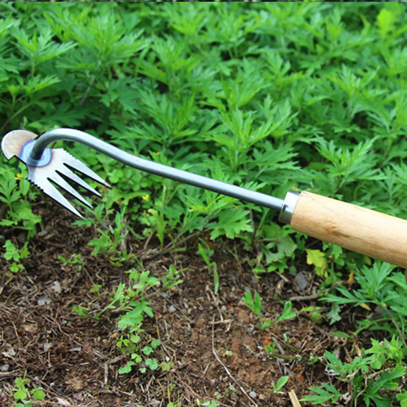 1 Stück Edelstahl Unkraut abzieher scharfe Zinken Gras wurzel Unkraut Werkzeug für Hof Rasen und Bauernhof Versorgung Haushof Gartengeräte