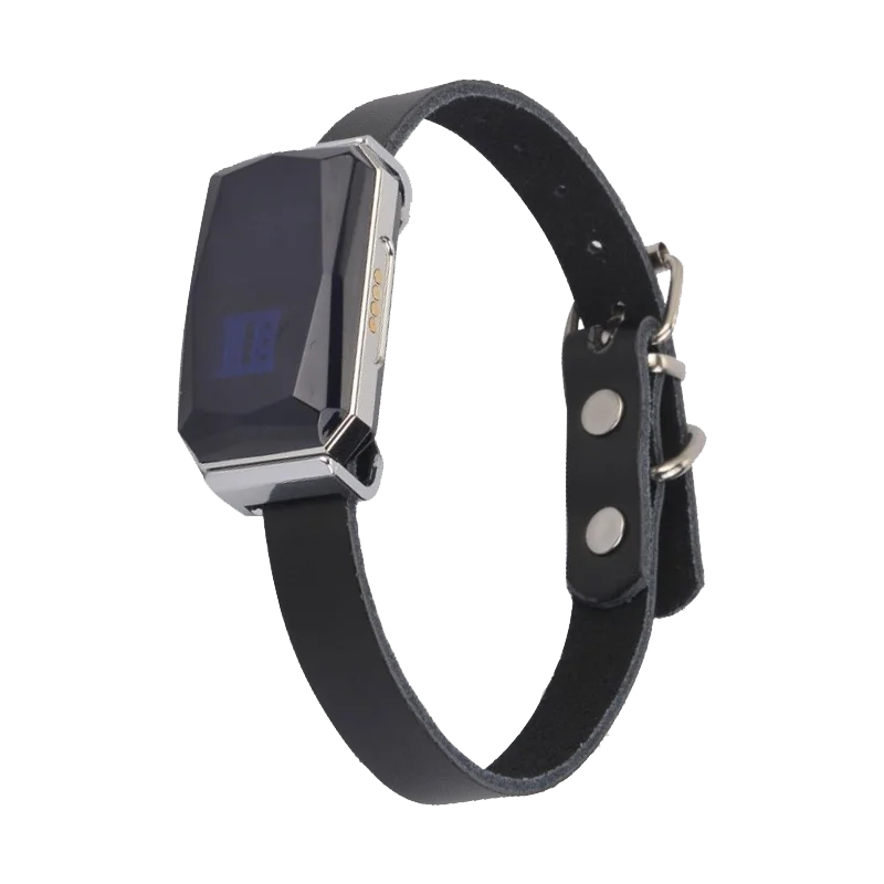 

G12 Pet GPS Tracker Device Automatic Alarm Mini GPS Trackers Anti-Lost Device Locator IP67 Built-in 500mAh Battery