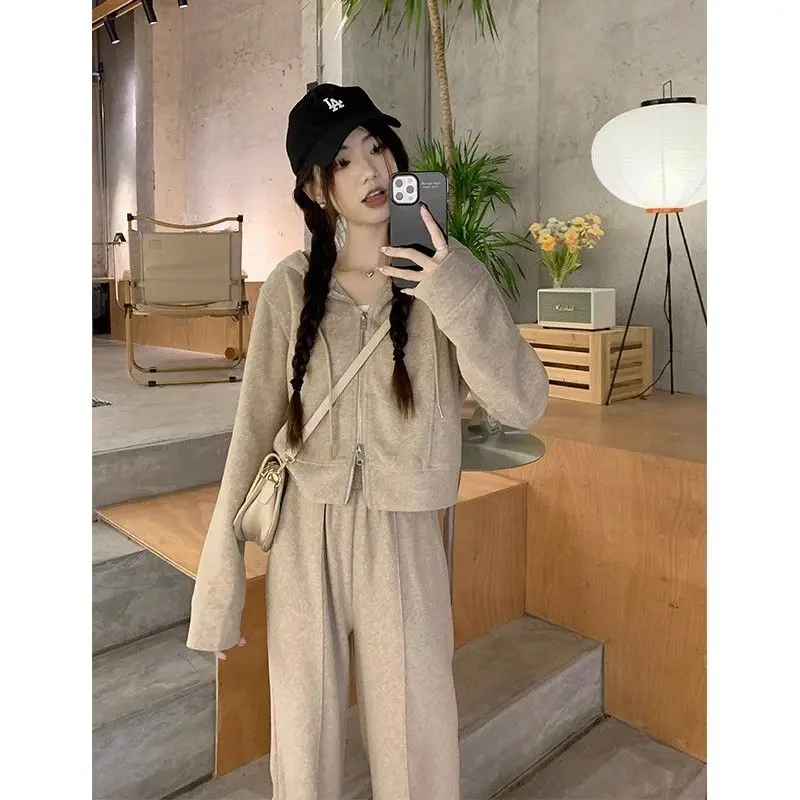 Korean Style Autumn New Grey Hooded Top Thin Jacket Wide Leg Pants Two-piece Set Women\'s Pants Set Sports Suit