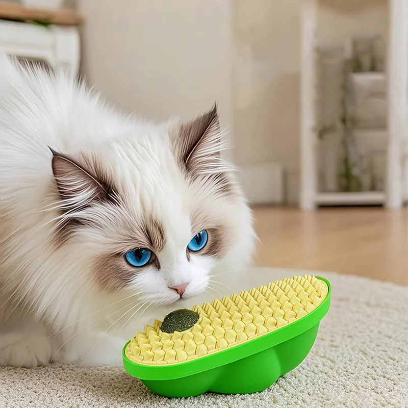 

Pet toys, pet hair removal tools, cat and dog automatic toys, dog grooming products, cat cleaning supplies, dog care products