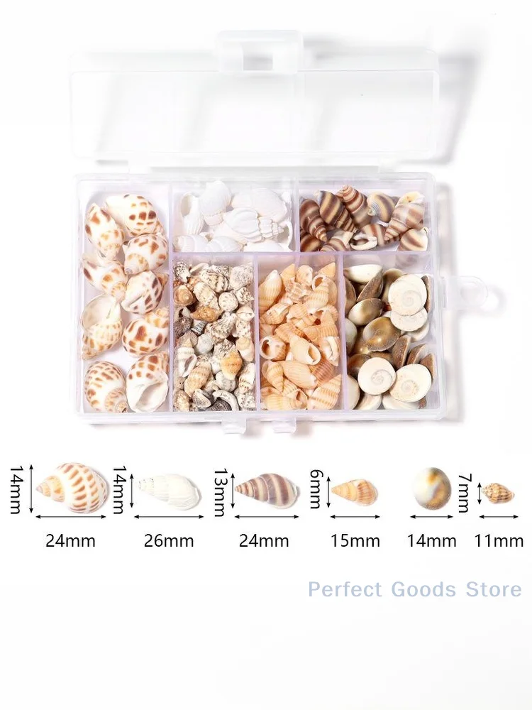 1 Box Sea Shells Spiral Shell Tiny Ocean Spiral Seashells Crafts Aquarium Decor Landscaping Accessories