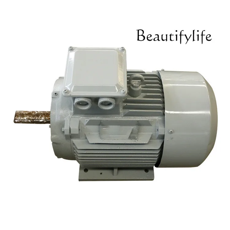 

Permanent magnet generator 5kw300 rpm low speed permanent magnet generator three-phase AC rare earth