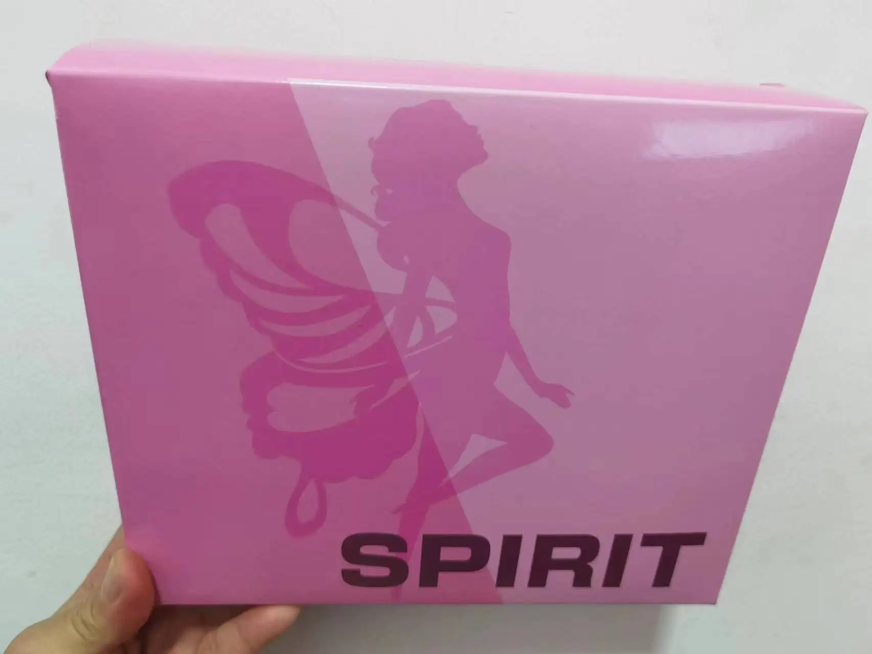 IN STOCK GT Model EXST Saint Seiya EX Shun Immortals Alloy Movable PVC Action Figure Model Armor Toys