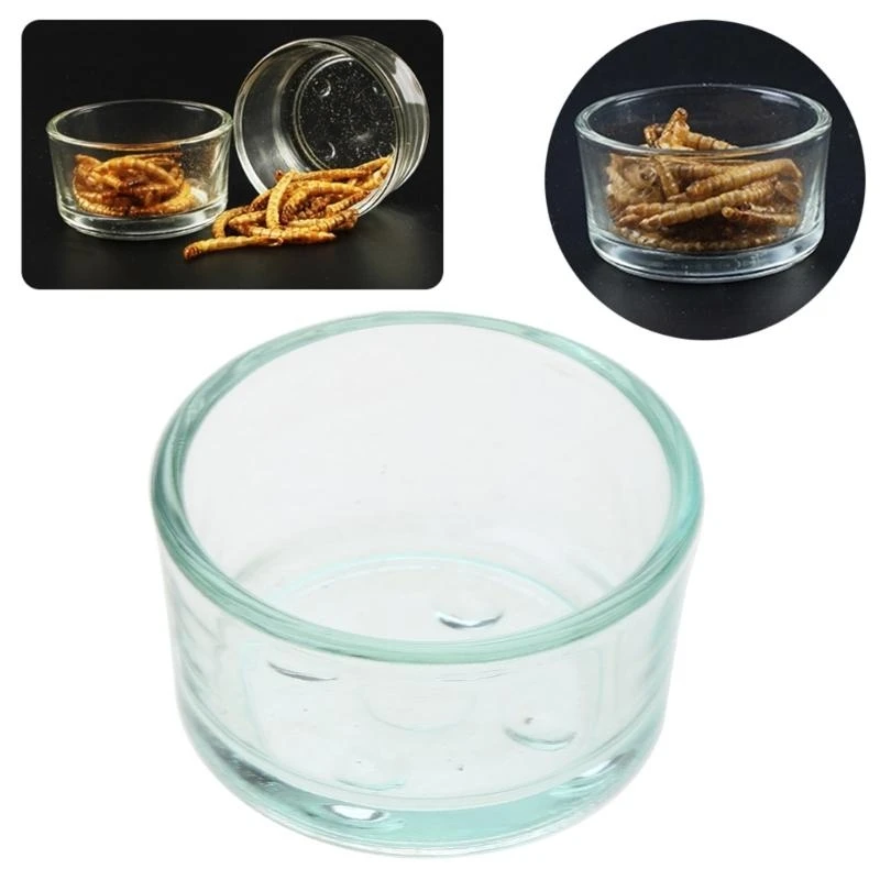 Corner Bowl Glass Worm Dish Anti-Escape Feeder Dish for Geckos