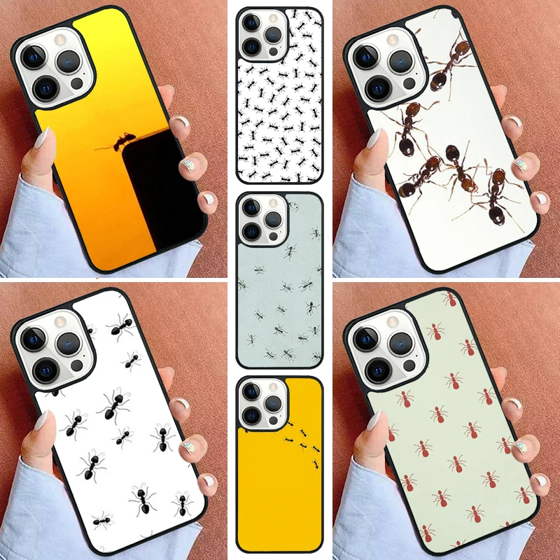 Creepy Ant Insects …