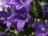 

36V 3500mah Rechargeable 18650 Lithium Battery pack 10S1P Backup Cells Li-ion with BMS