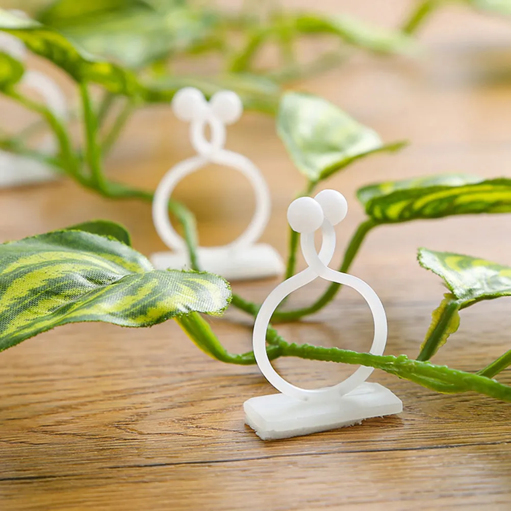 100Pcs Plant Climbing Wall Clips Adhesive Vine Holder for Money Plants Indoor Green Wall Decor Stable Fixation Smooth Surface